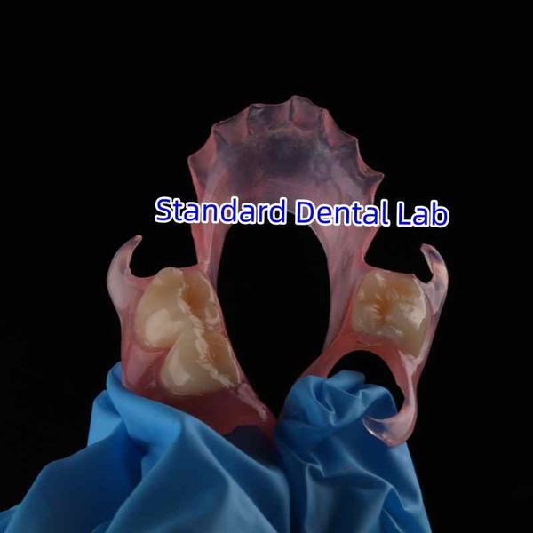 Standard Dental Lab Co., Limited ligne de production du fabricant
