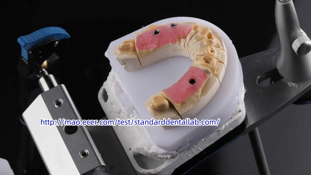 Standard Dental Lab Co., Limited ligne de production du fabricant