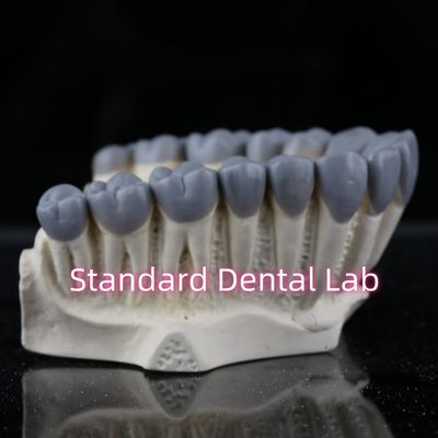 acheter Le laboratoire dentaire numérique de SDL fabrication en ligne