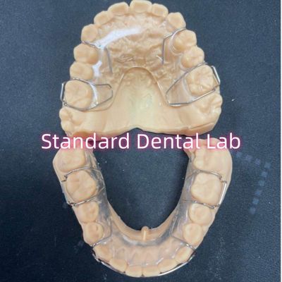 acheter Retenant orthodontique professionnel Retenant dentaire acrylique Hawley Adam Clasps fabrication en ligne