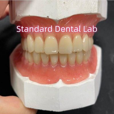 acheter Plaque d'arrêt complète supérieure et inférieure Prothèses partielles acryliques Ivoclar Dents gomme rose fabrication en ligne