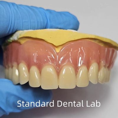 acheter Standard Ivoclar complète dentition acrylique professionnel certifié FDA fabrication en ligne