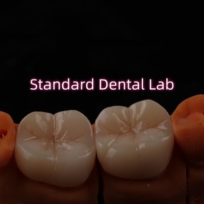 Laboratoire dentaire à contour complet en zirconium monolithique de Bruxier