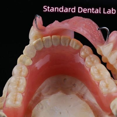 Denteries amovibles Denteries partielles en acrylique Dents avec fermeture à câbles