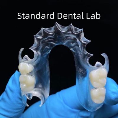Dental Clear TCS Valplast Particules dentaires flexibles Laboratoire dentaire standard