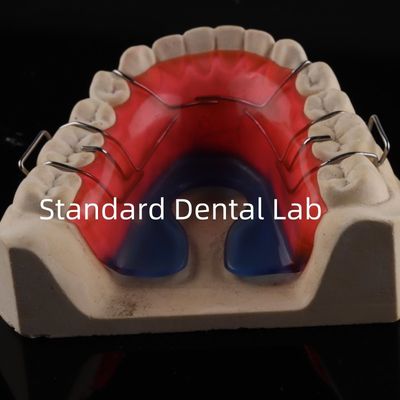 Ortodontie Dents Palat élargisseur Espace stable Arche dentaire élargisseur Bon ajustement