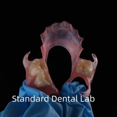 Haut esthétique dentaire TCS Valplast Dentures partielles flexibles Lab dentaire teinte rose