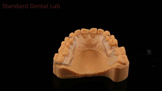Parfait ajustement Allemagne Ortho Dent Halley Retenant pour l'esthétique et la réglabilité L'ombre claire SDL Dental Lab