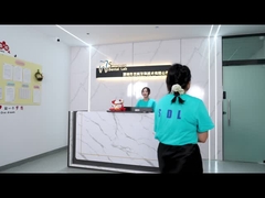 Porcelaine tout sur quatre Pont de zirconium Haut esthétique Pont d'implant dentaire